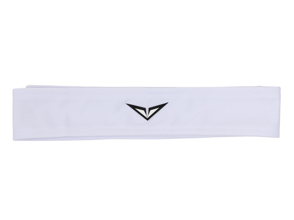 AC0238-101 | RBLV WIM HD BAND