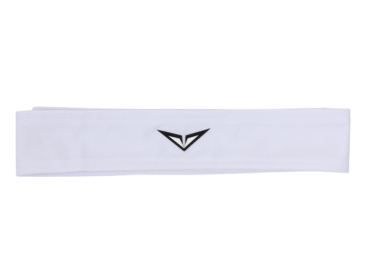 AC0238-101 | RBLV WIM HD BAND