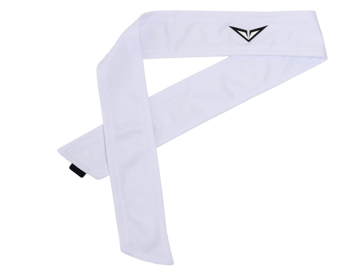 AC0238-101 | RBLV WIM HD BAND