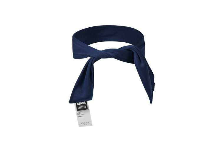 HB015-407 | RBLV HEADBAND | STARGAZER