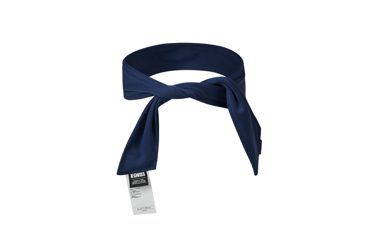 HB015-407 | RBLV HEADBAND | STARGAZER